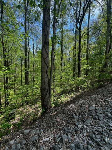 0 Lola Dr, Smithville, TN 37166