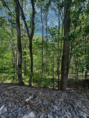 0 Lola Dr, Smithville, TN 37166