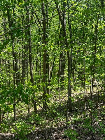 0 Lola Dr, Smithville, TN 37166