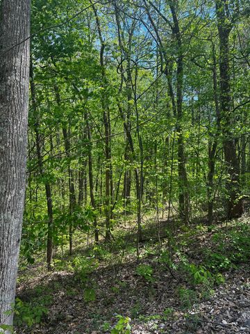 0 Lola Dr, Smithville, TN 37166