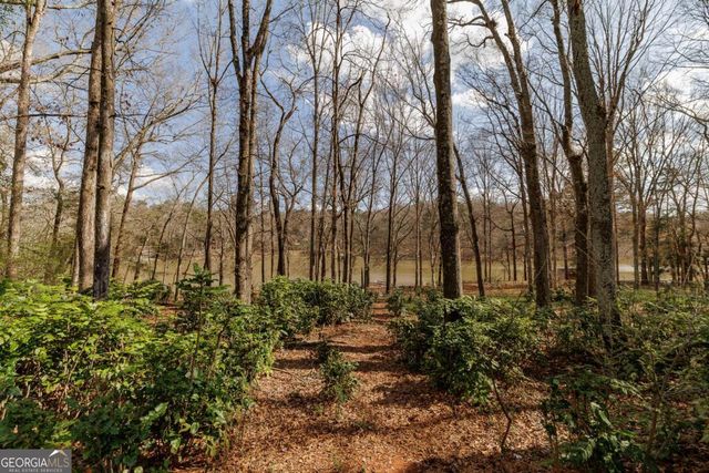 1120 Brittain Estates Drive, Watkinsville, GA 30677