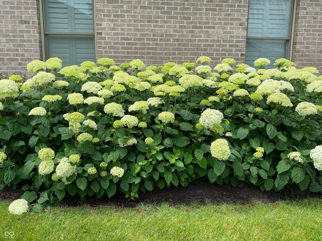 10124 Basalt Court, Noblesville, IN 46060