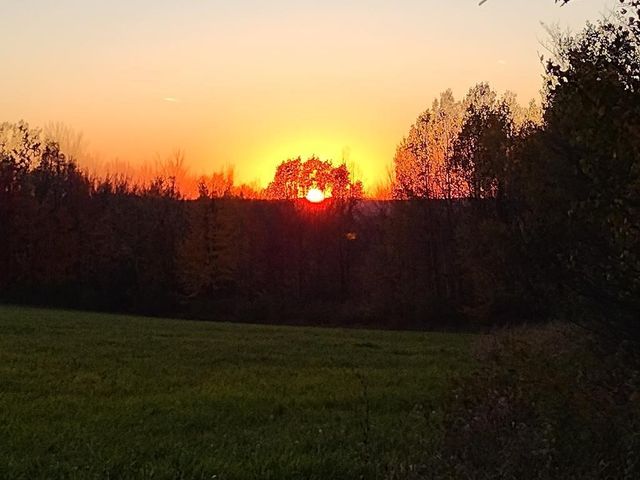 1430 Swarthout Road, Lindley, NY 14830