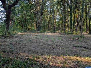 PP 2020-049 #2 N of Spring Meadow Subdivision, Albany, OR 97321