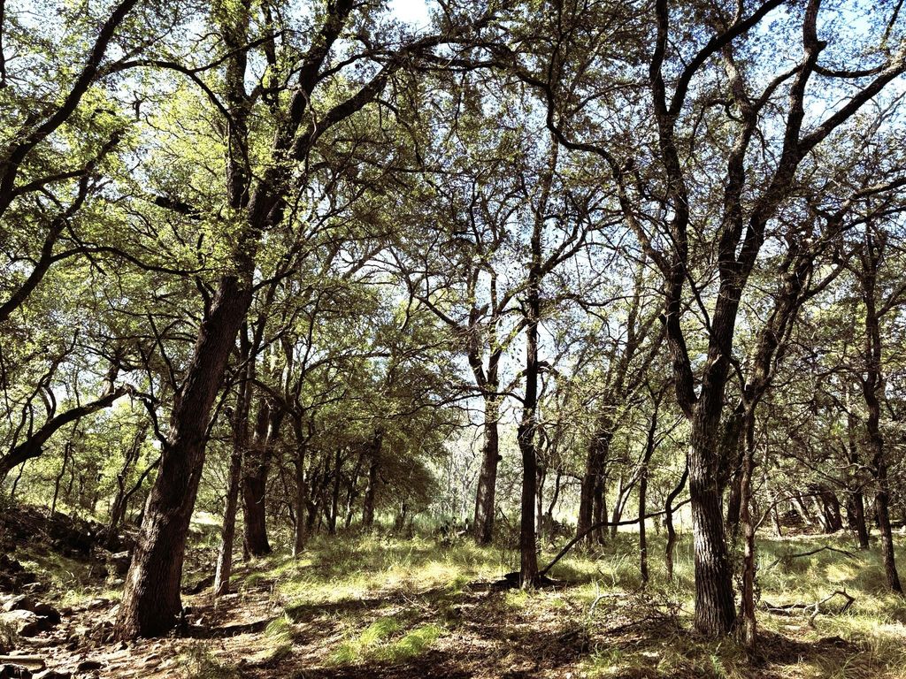 TBD Lot 2 Sandy Mountain, Sunrise Beach, TX 78643