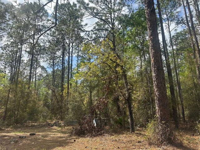 3700 SW 189TH AVENUE, Dunnellon, FL 34432