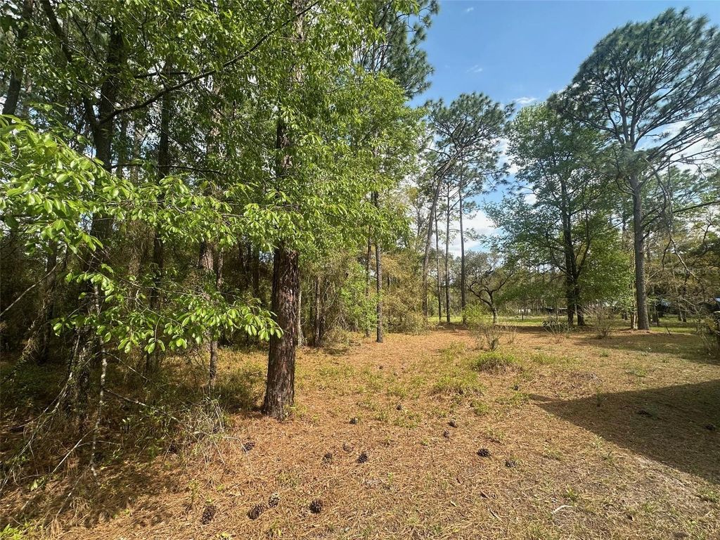 Image 15 of property listing at 3700 SW 189TH AVENUE, Dunnellon, FL 34432