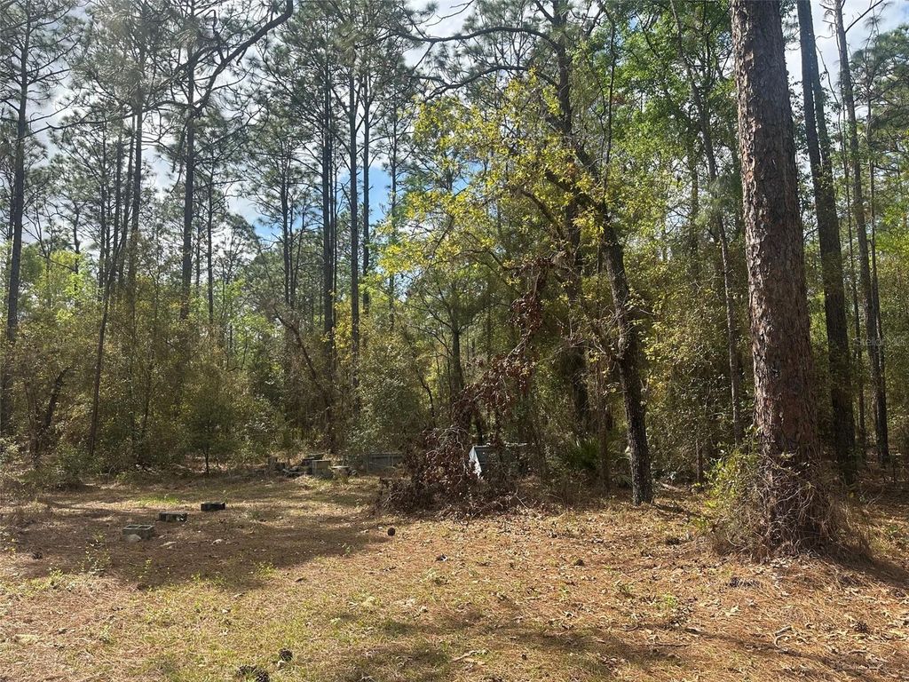 Image 23 of property listing at 3700 SW 189TH AVENUE, Dunnellon, FL 34432