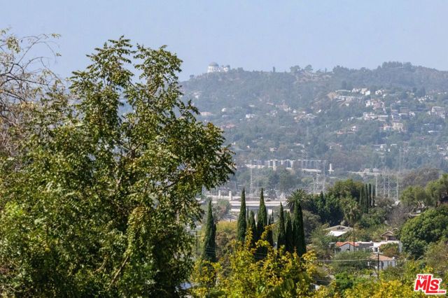 1812 Wollam Street, Los Angeles, CA 90065