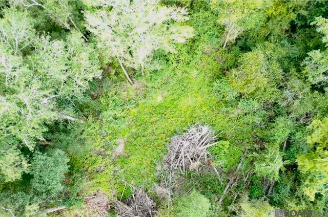 31287 Norred Rd, Holden, LA 70744