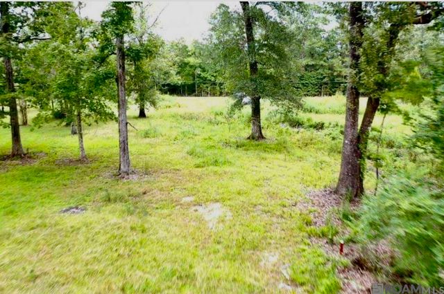 31287 Norred Rd, Holden, LA 70744