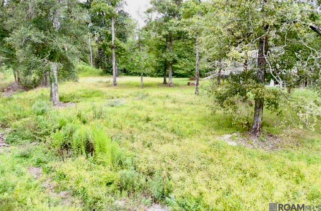 31287 Norred Rd, Holden, LA 70744