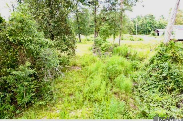 31287 Norred Rd, Holden, LA 70744