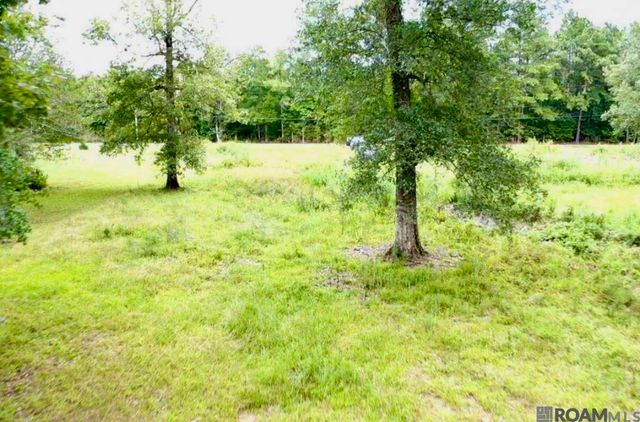 31287 Norred Rd, Holden, LA 70744