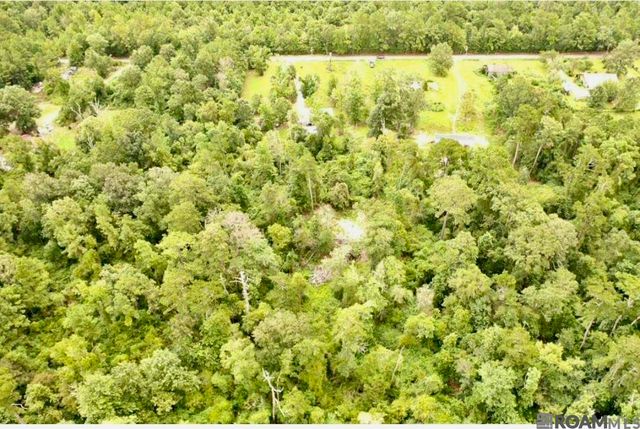 31287 Norred Rd, Holden, LA 70744