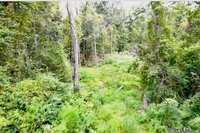 31287 Norred Rd, Holden, LA 70744