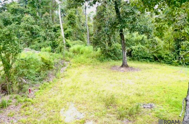 31287 Norred Rd, Holden, LA 70744