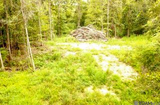 31287 Norred Rd, Holden, LA 70744