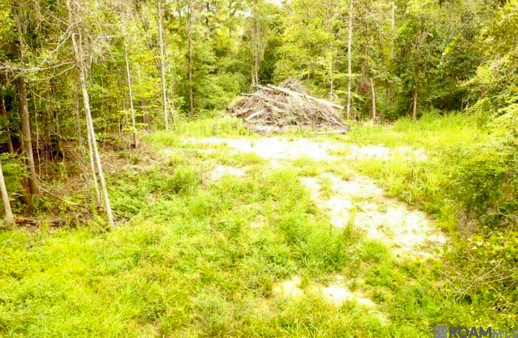31287 Norred Rd, Holden, LA 70744