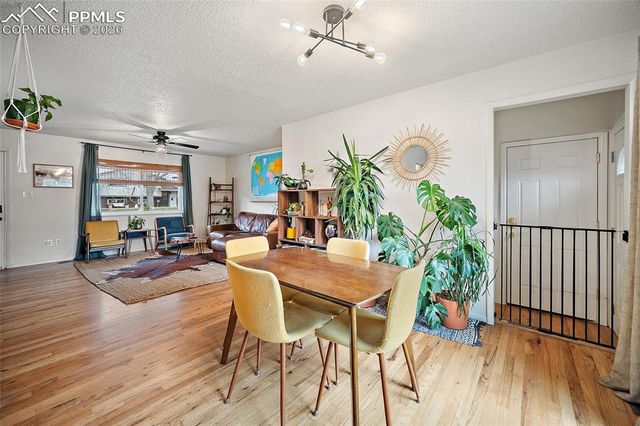 1531 Saratoga Drive, Colorado Springs, CO 80910