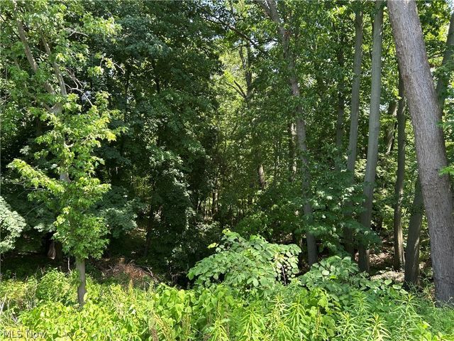 114 Grandview Avenue, Conneaut, OH 44030