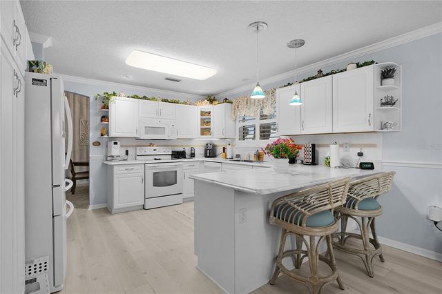 1903 RUIZ COURT, The Villages, FL 32159
