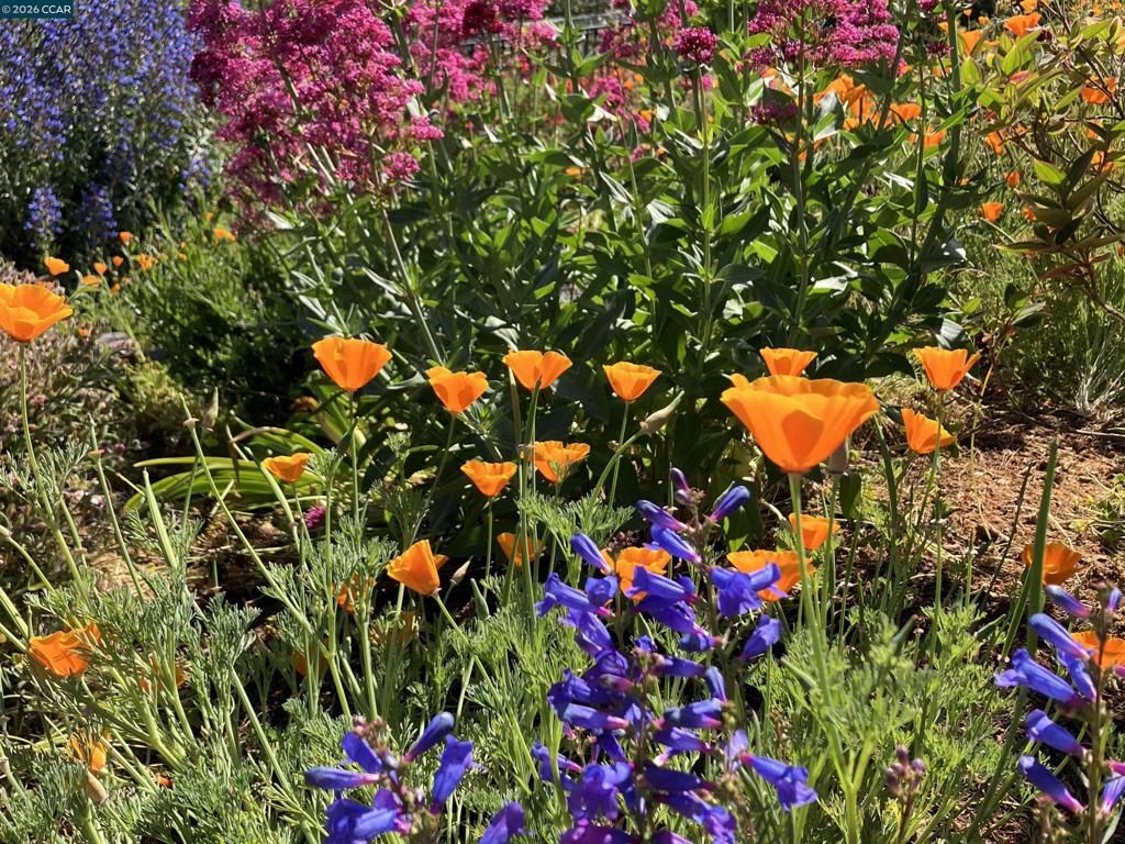 Image 52 of property listing at 10570 Englewood Dr, Oakland, CA 94605