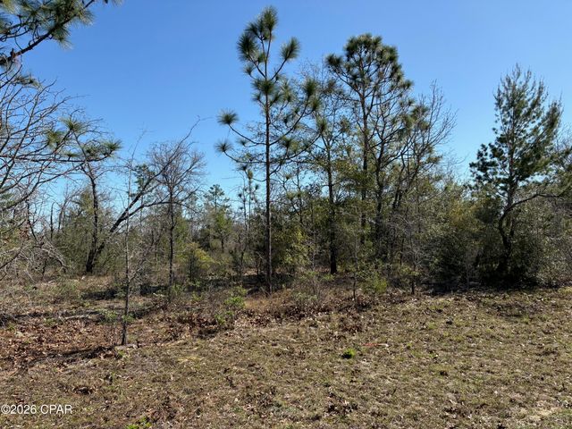 LOT 9 Trellis Drive, Chipley, FL 32428