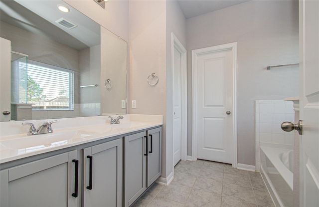 18613 Birch Orchard Court, Magnolia, TX 77355