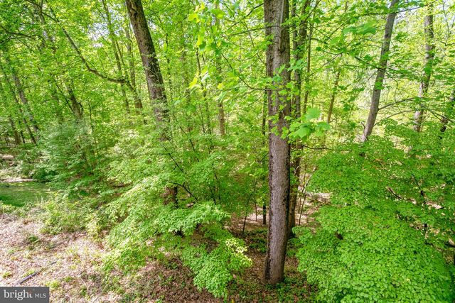 11434 CEDAR RIDGE DR, Potomac, MD 20854