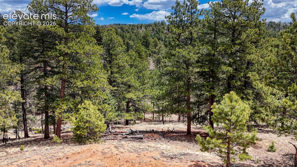 16 View Circle, Florissant, CO 80816 — exterior