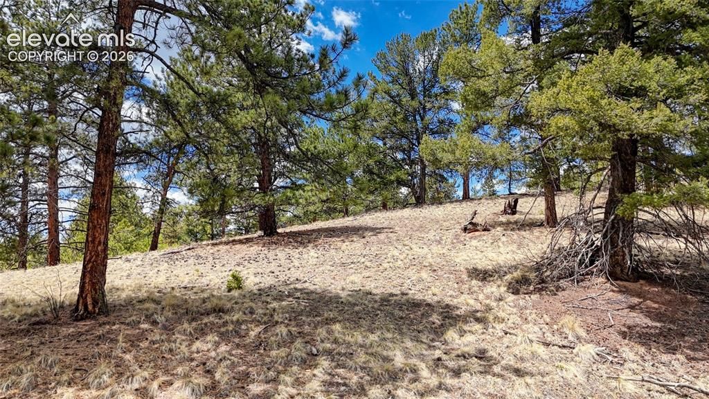 16 View Circle, Florissant, CO 80816 — photo 2