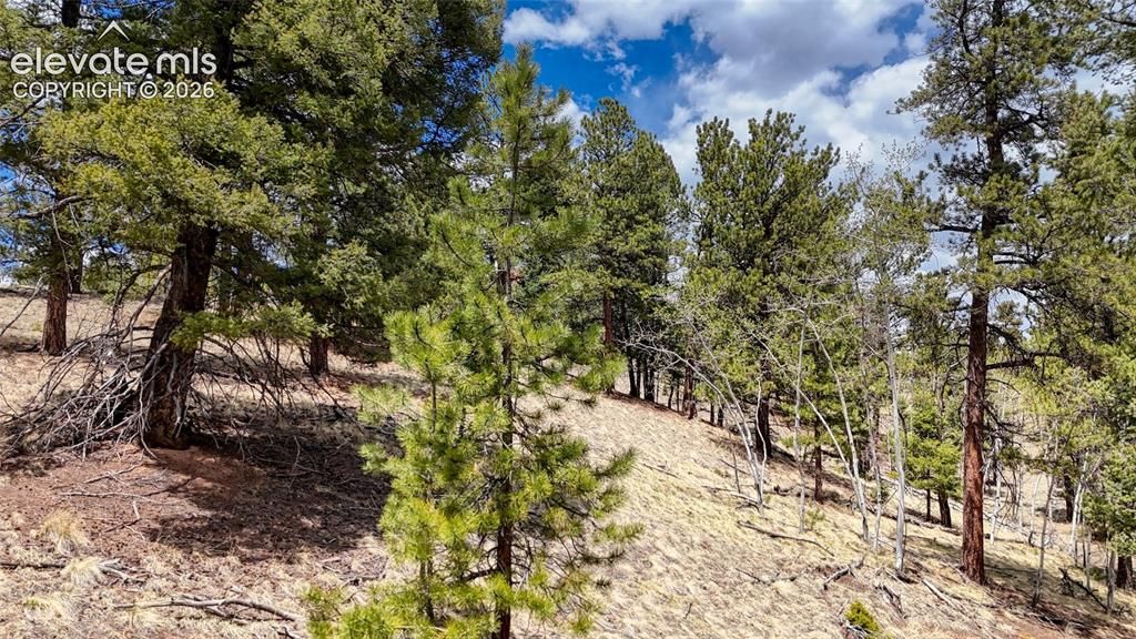 16 View Circle, Florissant, CO 80816 — photo 3