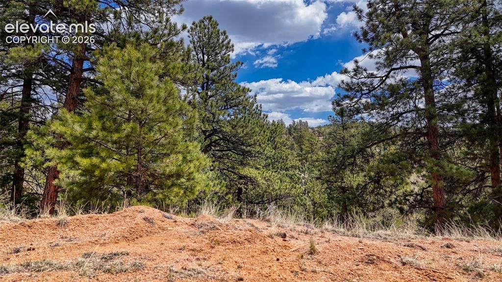 16 View Circle, Florissant, CO 80816 — photo 4