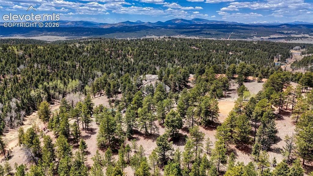 16 View Circle, Florissant, CO 80816 — photo 5