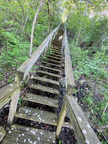1387 County Road 306, Berryville, AR 72616
