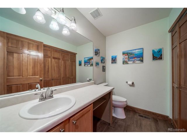 11217 Vilas St, Parker, CO 80134