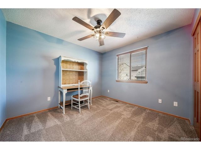 11217 Vilas St, Parker, CO 80134
