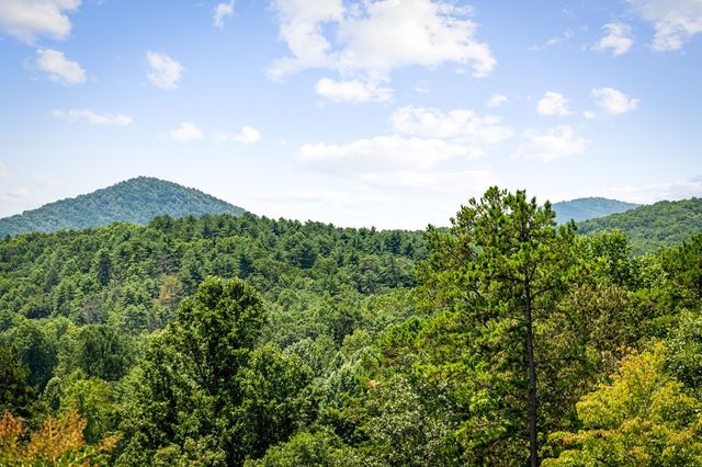 90 Fox Run, Blue Ridge, GA 30513
