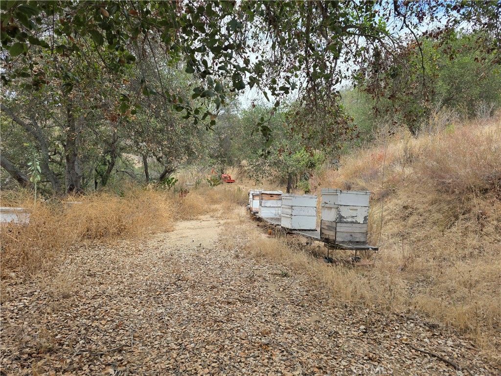 0 Live Oak Creek Circle, Fallbrook, CA 92028 — photo 5