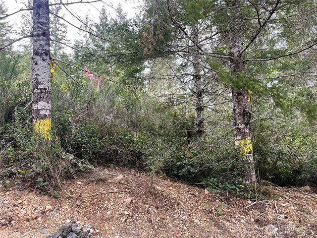 778899 N Hamma Ridge Drive, Lilliwaup, WA 98555