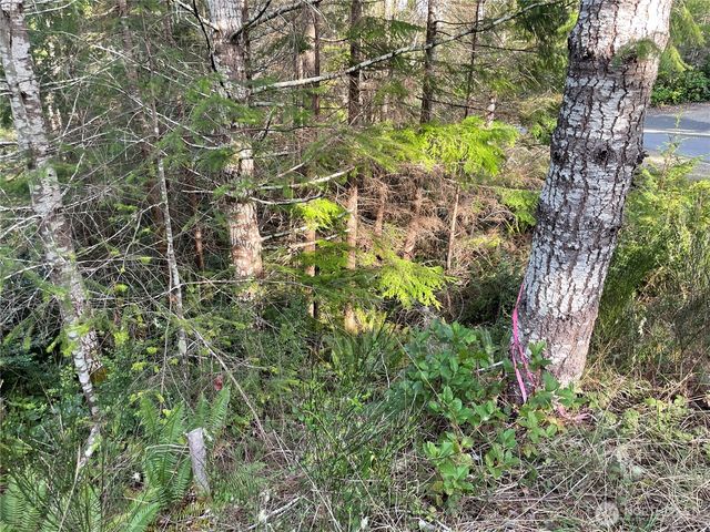 778899 N Hamma Ridge Drive, Lilliwaup, WA 98555