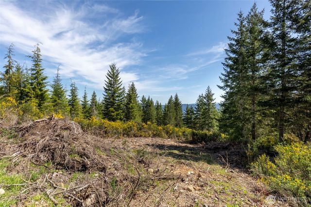 778899 N Hamma Ridge Drive, Lilliwaup, WA 98555