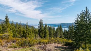 778899 N Hamma Ridge Drive, Lilliwaup, WA 98555