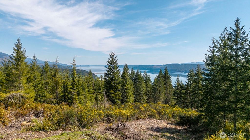 778899 N Hamma Ridge Drive, Lilliwaup, WA 98555