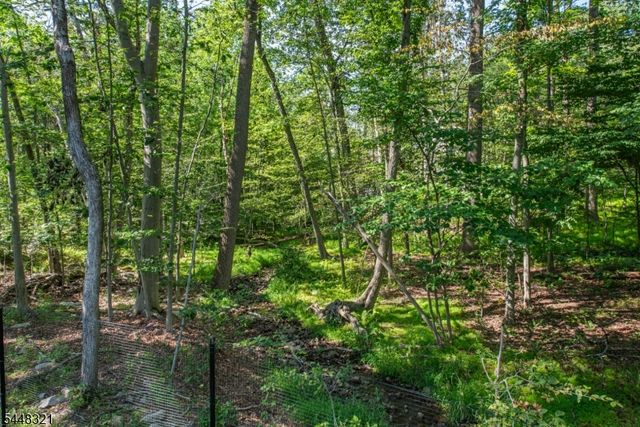 11 Rosewood Ln, Denville Twp., NJ 07834