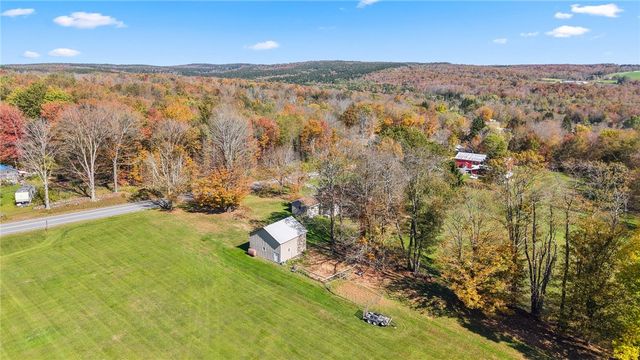 824 County Road 10, Pharsalia, NY 13801