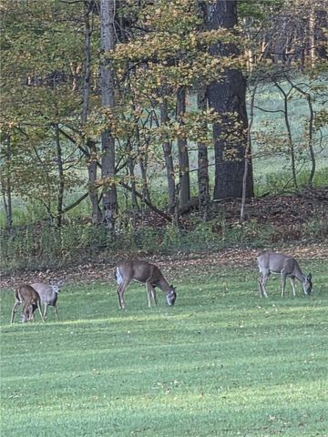 824 County Road 10, Pharsalia, NY 13801