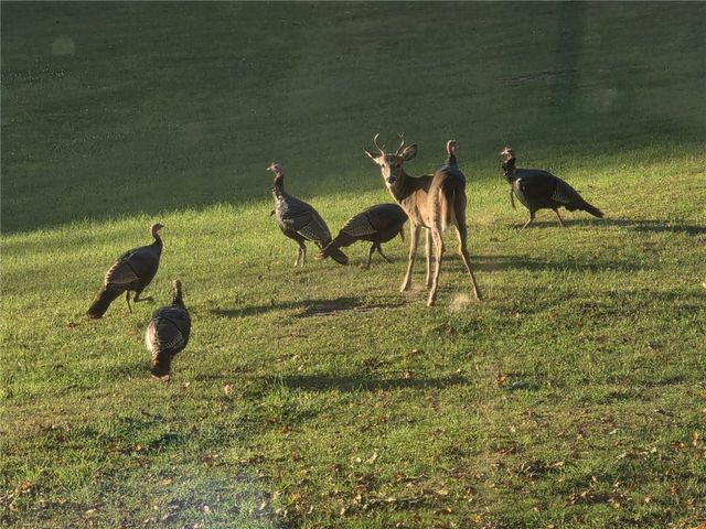 824 County Road 10, Pharsalia, NY 13801