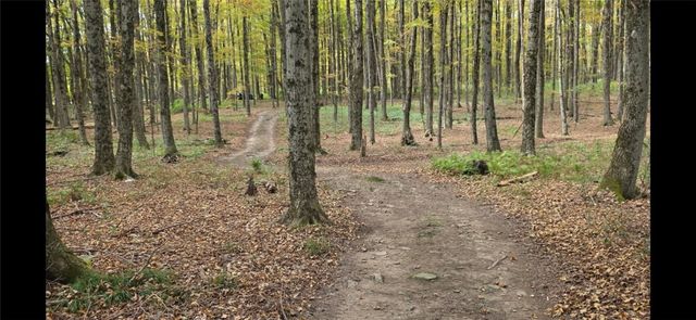 824 County Road 10, Pharsalia, NY 13801